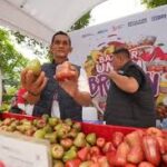 Kebakaran di Lereng Gunung Agung Bali